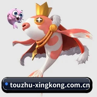 从此观赛更有深度